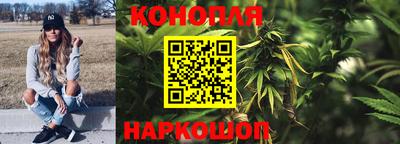индика Пушкино