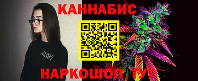 индика Пушкино