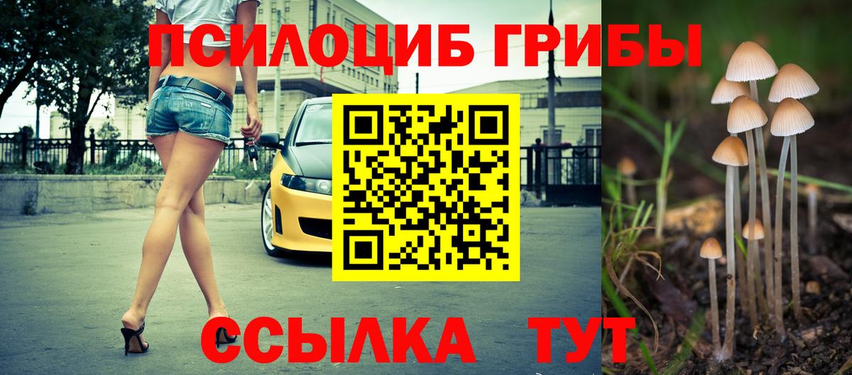 Галлюциногенные грибы Psilocybine cubensis Орск